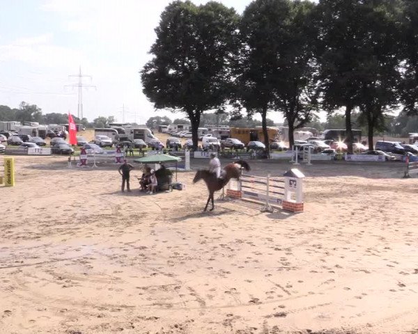 Reitturnier Recklinghausen 2015