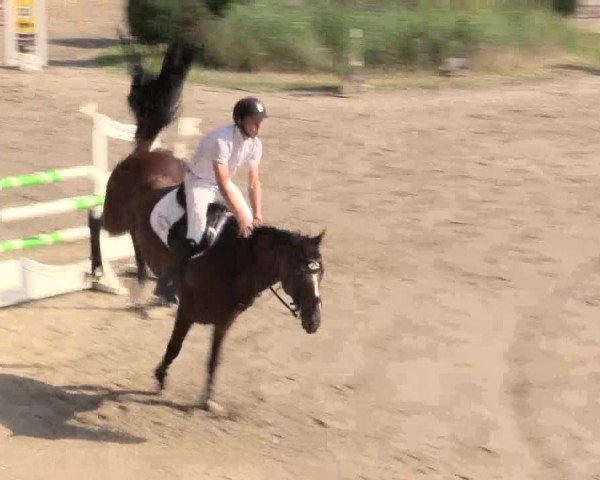 Reitturnier Recklinghausen 2015