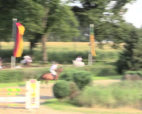 Reitturnier Recklinghausen 2015