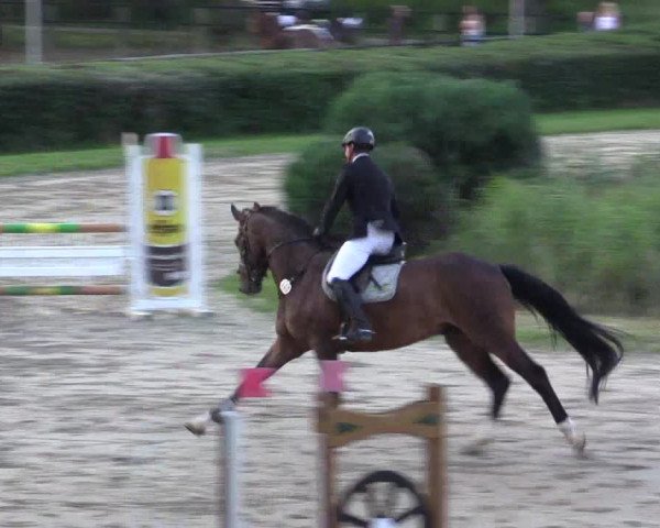 Reitturnier Recklinghausen 2015