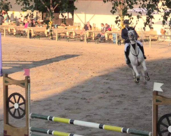 Reitturnier Recklinghausen 2015