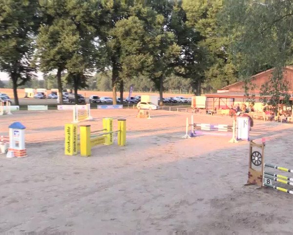 Reitturnier Recklinghausen 2015