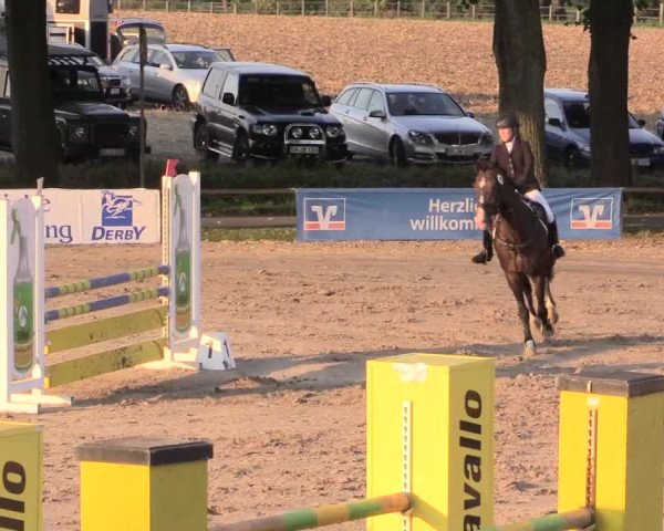 Reitturnier Recklinghausen 2015
