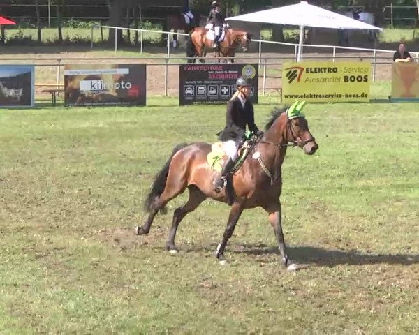 Reitturnier Pfullendorf 2015