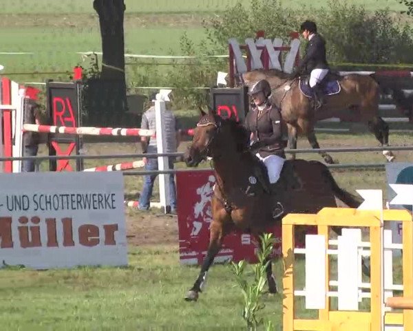 Reitturnier Pfullendorf 2015