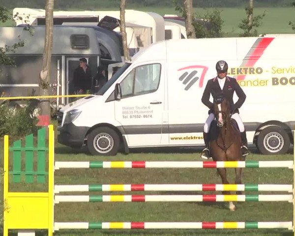 Reitturnier Pfullendorf 2015
