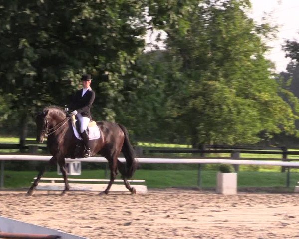 Reitturnier Recklinghausen 2015