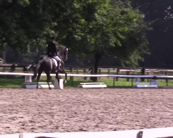 Reitturnier Recklinghausen 2015