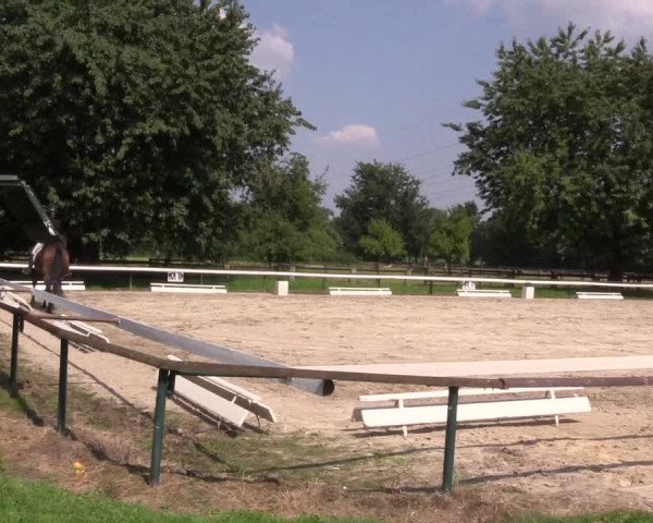 Reitturnier Recklinghausen 2015