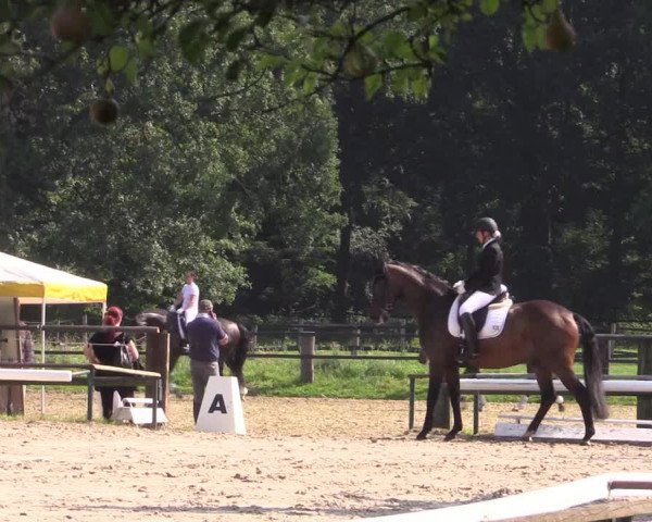 Reitturnier Recklinghausen 2015