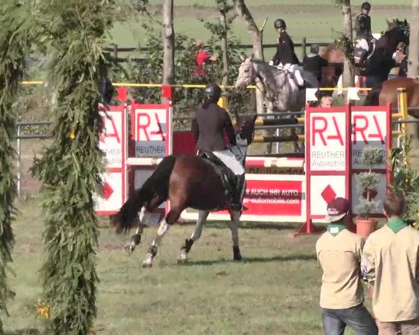 Reitturnier Pfullendorf 2015