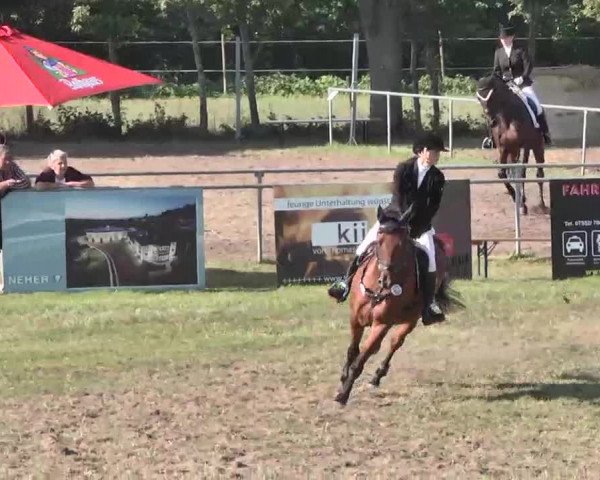 Reitturnier Pfullendorf 2015