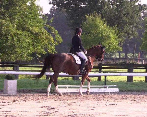 Reitturnier Recklinghausen 2015