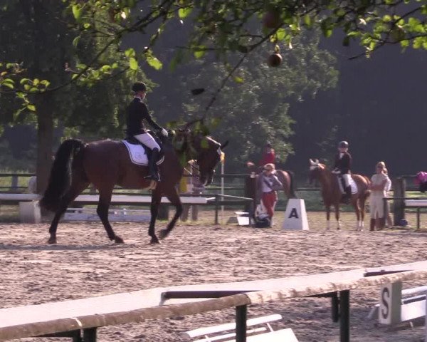 Reitturnier Recklinghausen 2015