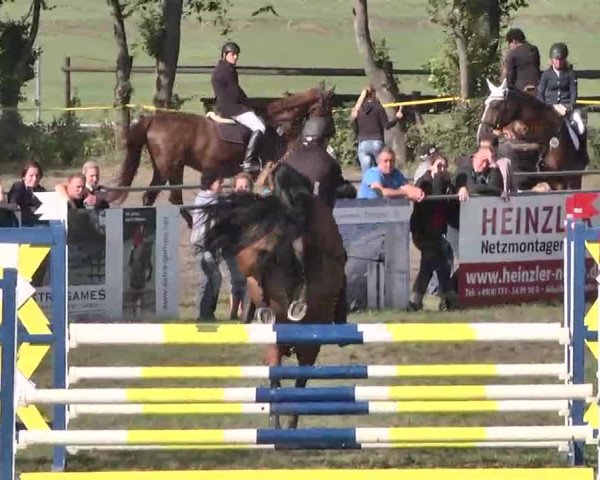 Reitturnier Pfullendorf 2015