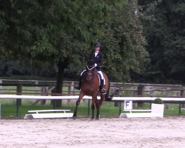 Reitturnier Recklinghausen 2015