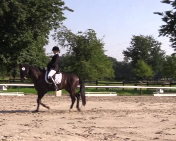 Reitturnier Recklinghausen 2015
