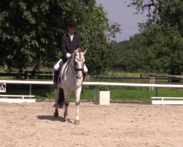 Reitturnier Recklinghausen 2015