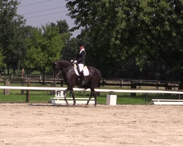 Reitturnier Recklinghausen 2015