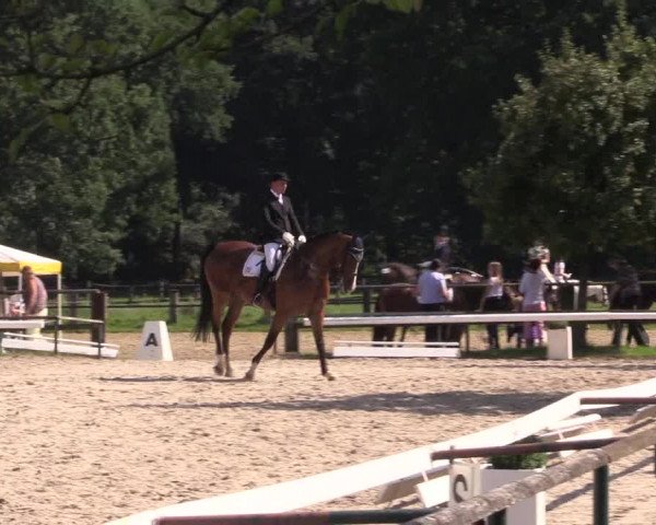 Reitturnier Recklinghausen 2015