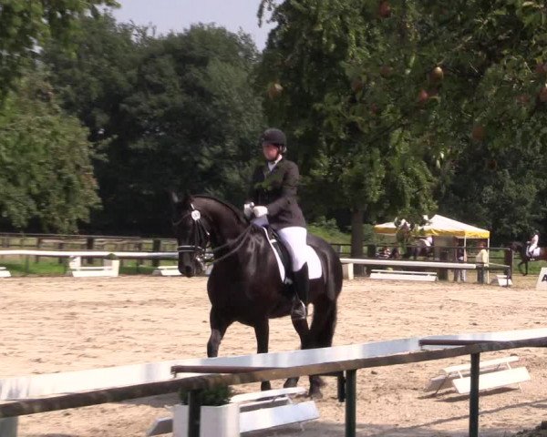 Reitturnier Recklinghausen 2015