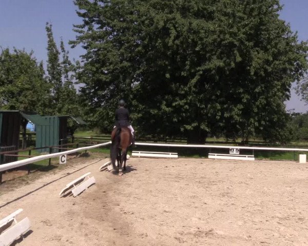 Reitturnier Recklinghausen 2015