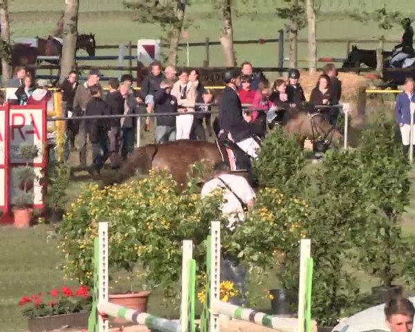 Reitturnier Pfullendorf 2015