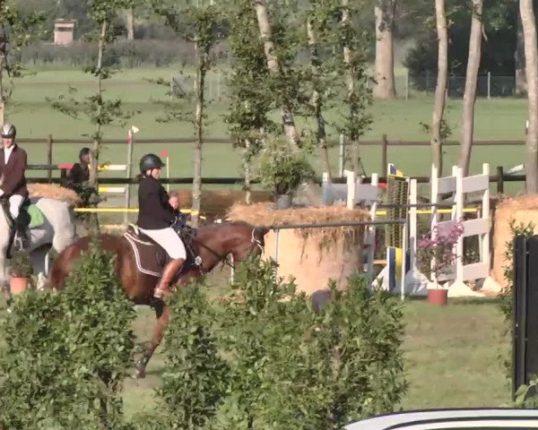 Reitturnier Pfullendorf 2015