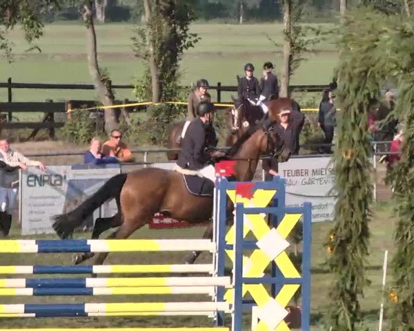 Reitturnier Pfullendorf 2015