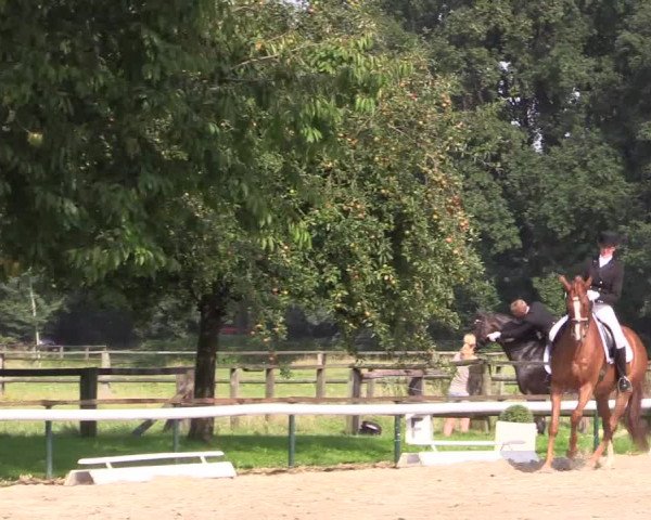 Reitturnier Recklinghausen 2015