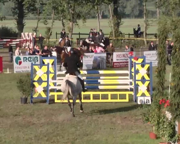 Reitturnier Pfullendorf 2015