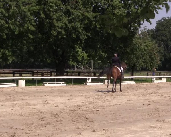 Reitturnier Recklinghausen 2015