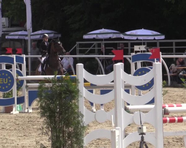 Summer Meeting Hachenburg 2015