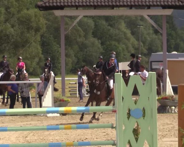 Summer Meeting Hachenburg 2015