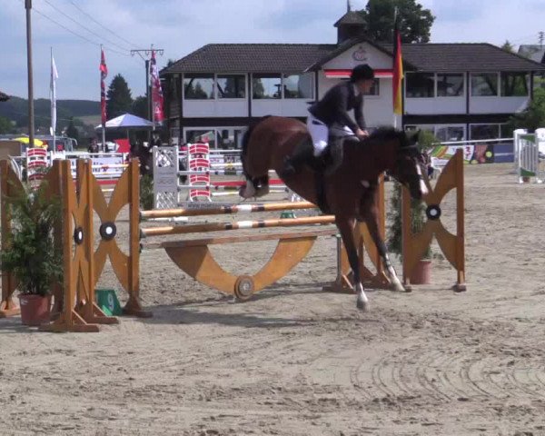 Summer Meeting Hachenburg 2015