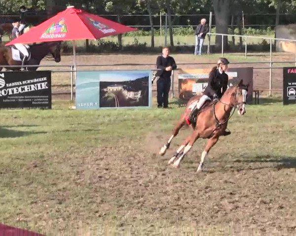 Reitturnier Pfullendorf 2015