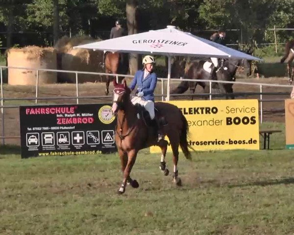 Reitturnier Pfullendorf 2015