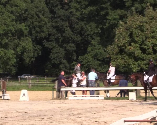 Reitturnier Recklinghausen 2015