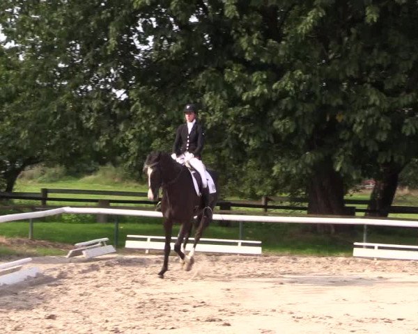 Reitturnier Recklinghausen 2015