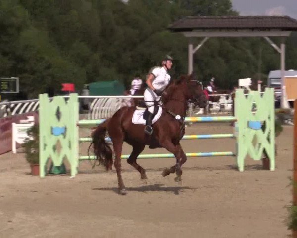 Summer Meeting Hachenburg 2015