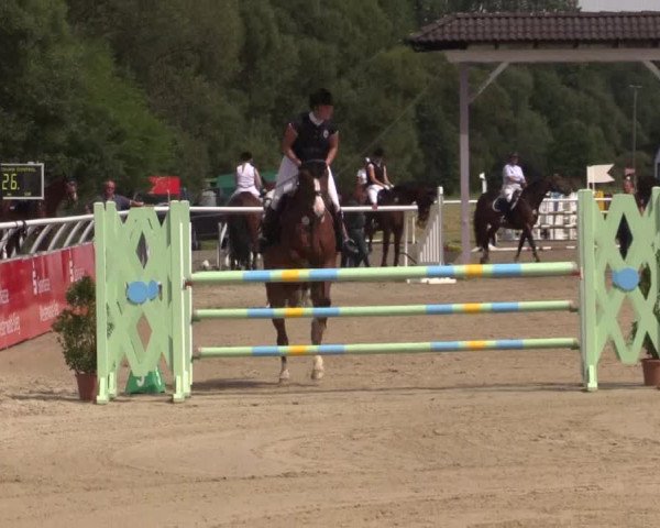 Summer Meeting Hachenburg 2015