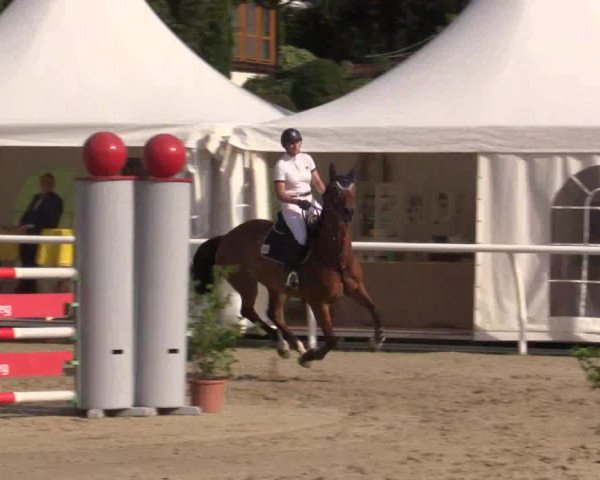 Summer Meeting Hachenburg 2015