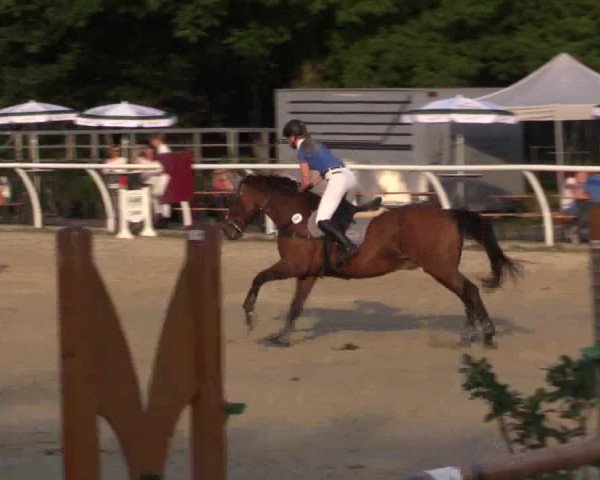 Summer Meeting Hachenburg 2015