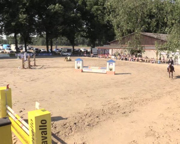 Reitturnier Recklinghausen 2015