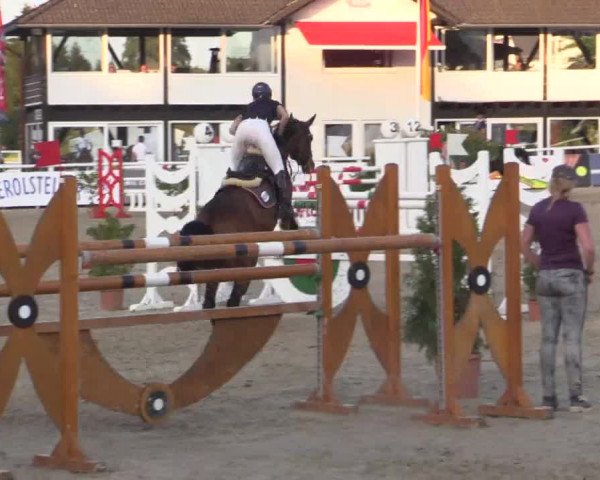 Summer Meeting Hachenburg 2015