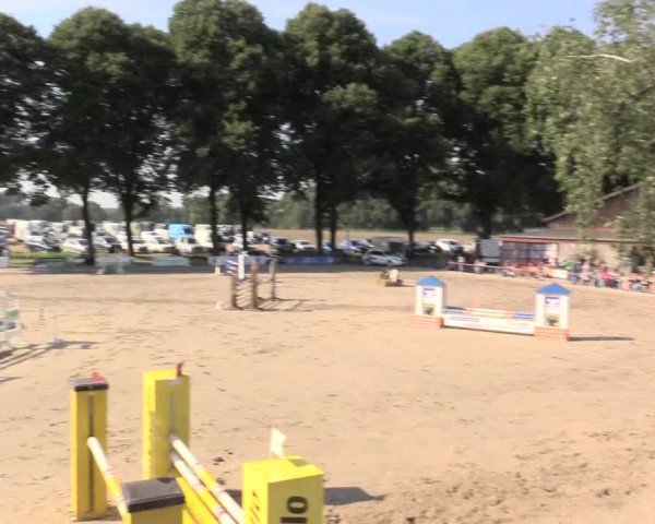 Reitturnier Recklinghausen 2015