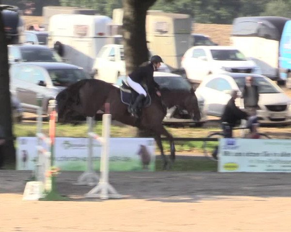 Reitturnier Recklinghausen 2015
