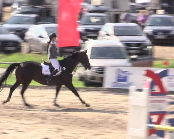 Reitturnier Recklinghausen 2015