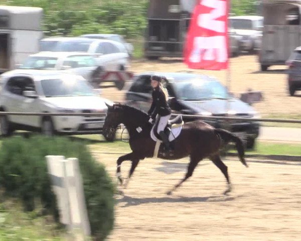 Reitturnier Recklinghausen 2015