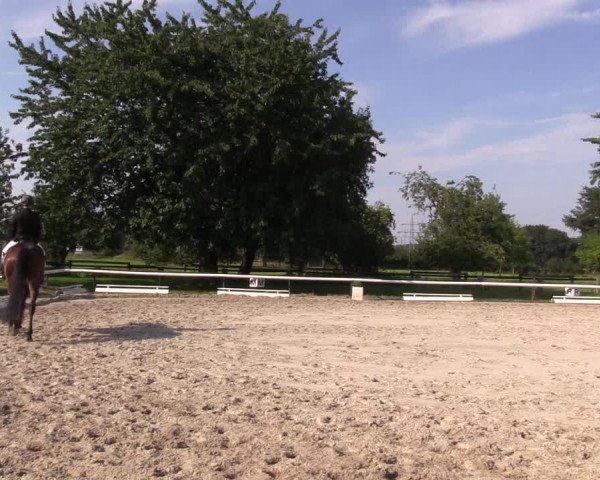 Reitturnier Recklinghausen 2015